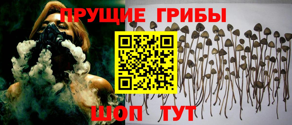 Галлюциногенные грибы Psilocybine cubensis  Галлюциногенные грибы MAGIC MUSHROOMS  Вход с VPN  Железноводск 